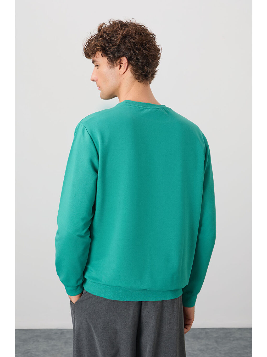 Açık Yeşil Pamuk Dokulu Standart Fit Basic Erkek Sweatshirt-4