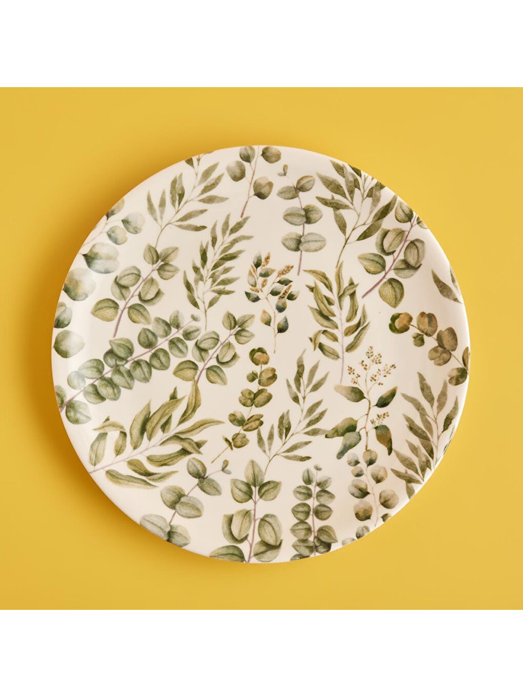 Ocaliptus Porselen 12 Parça 4 Kişilik Yemek Takımı Yeşil-3