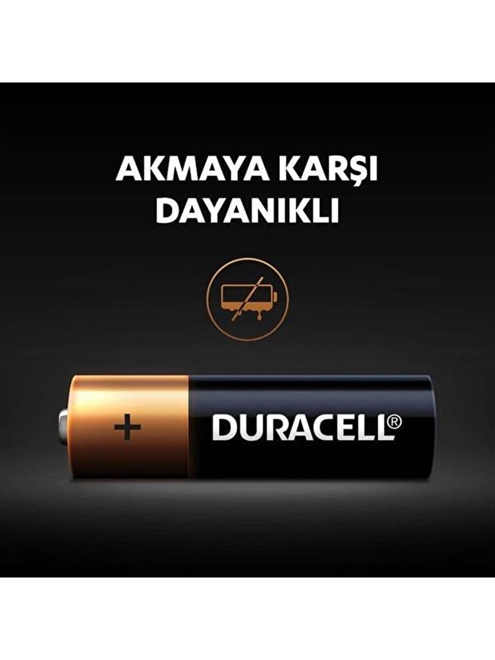 Basic 6'lı Aa Kalem Pil-1