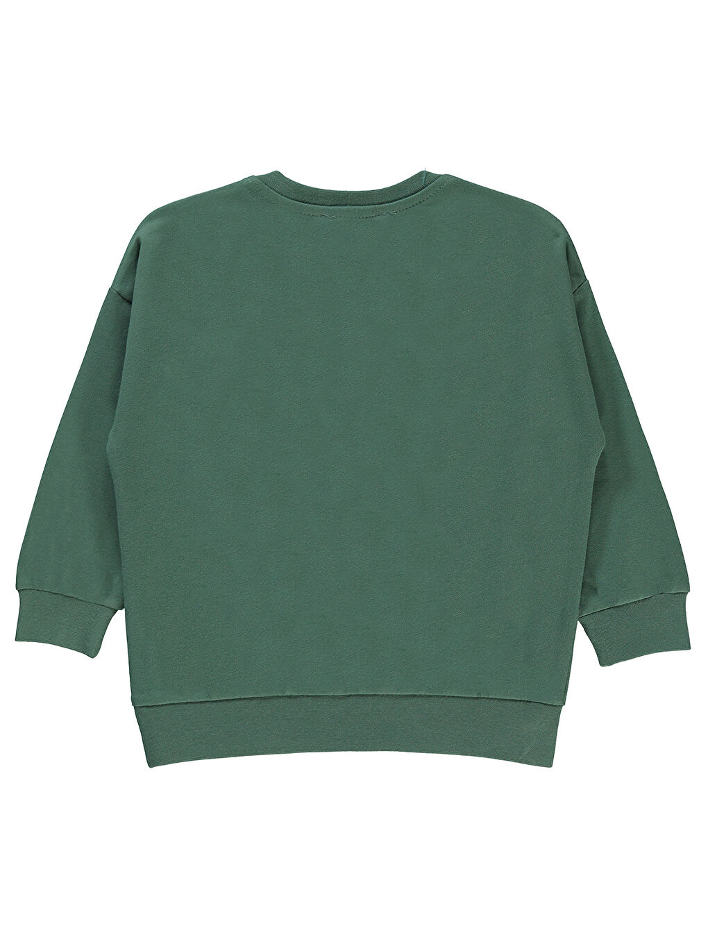 Boys Erkek Çocuk Sweatshirt 2-5 Yaş Soft Haki-1