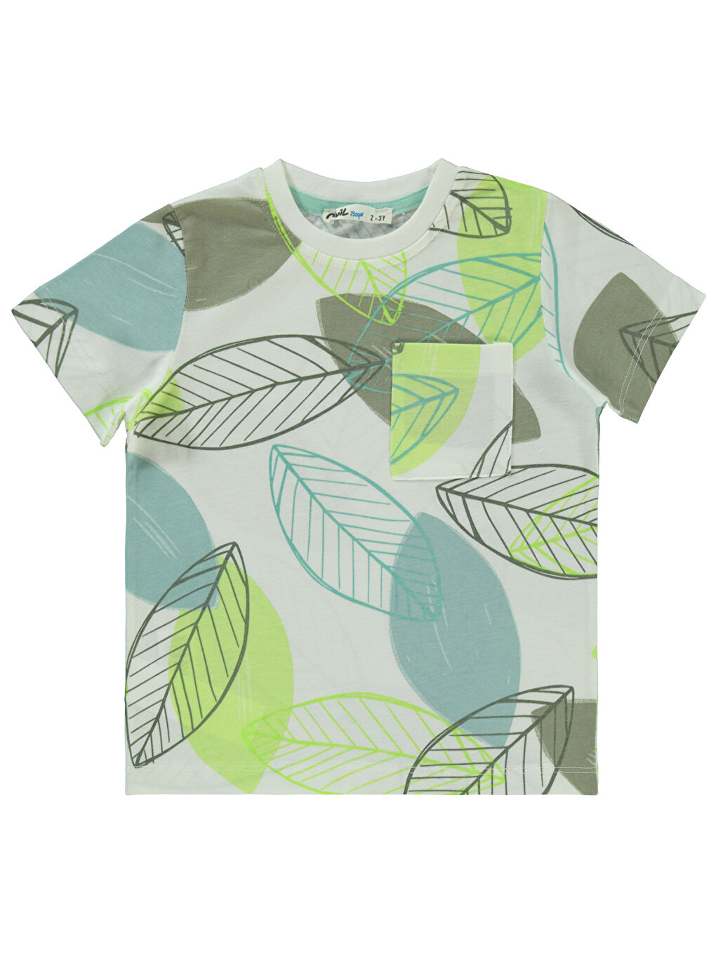 Boys Erkek Çocuk Tişört 2-5 Yaş Açık Çağla Yeşili