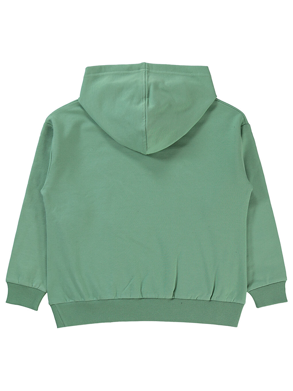 Boys Erkek Çocuk Sweatshirt 6-9 Yaş Çağla Yeşili-1