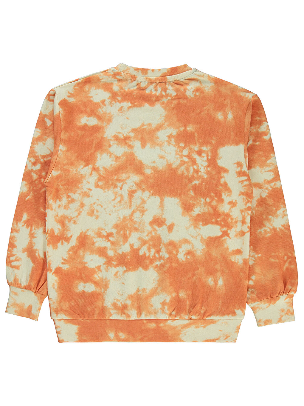 Bej Boys Erkek Çocuk Sweatshirt 6-9 Yaş Fil Dişi-1