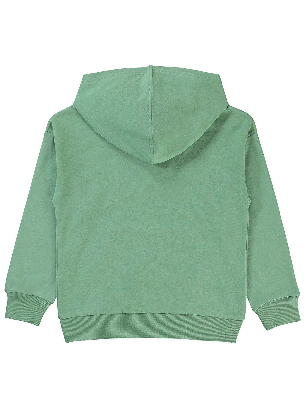 Boys Erkek Çocuk Sweatshirt 6-9 Yaş Çağla Yeşili-1