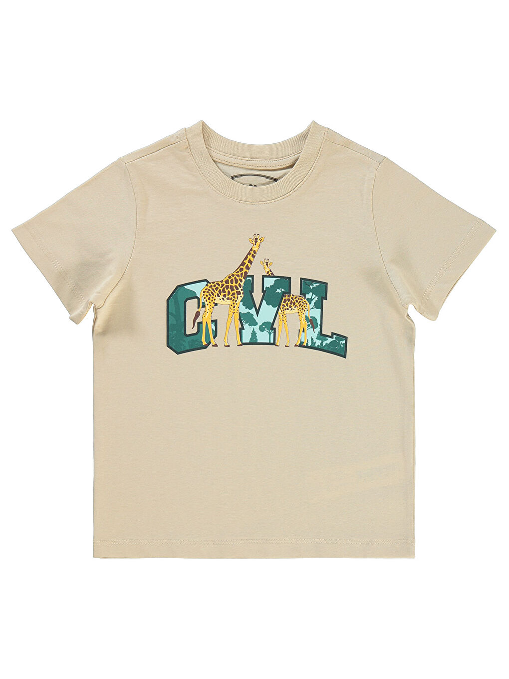 Bej Boys Erkek Çocuk Tişört 2-5 Yaş Taş Rengi