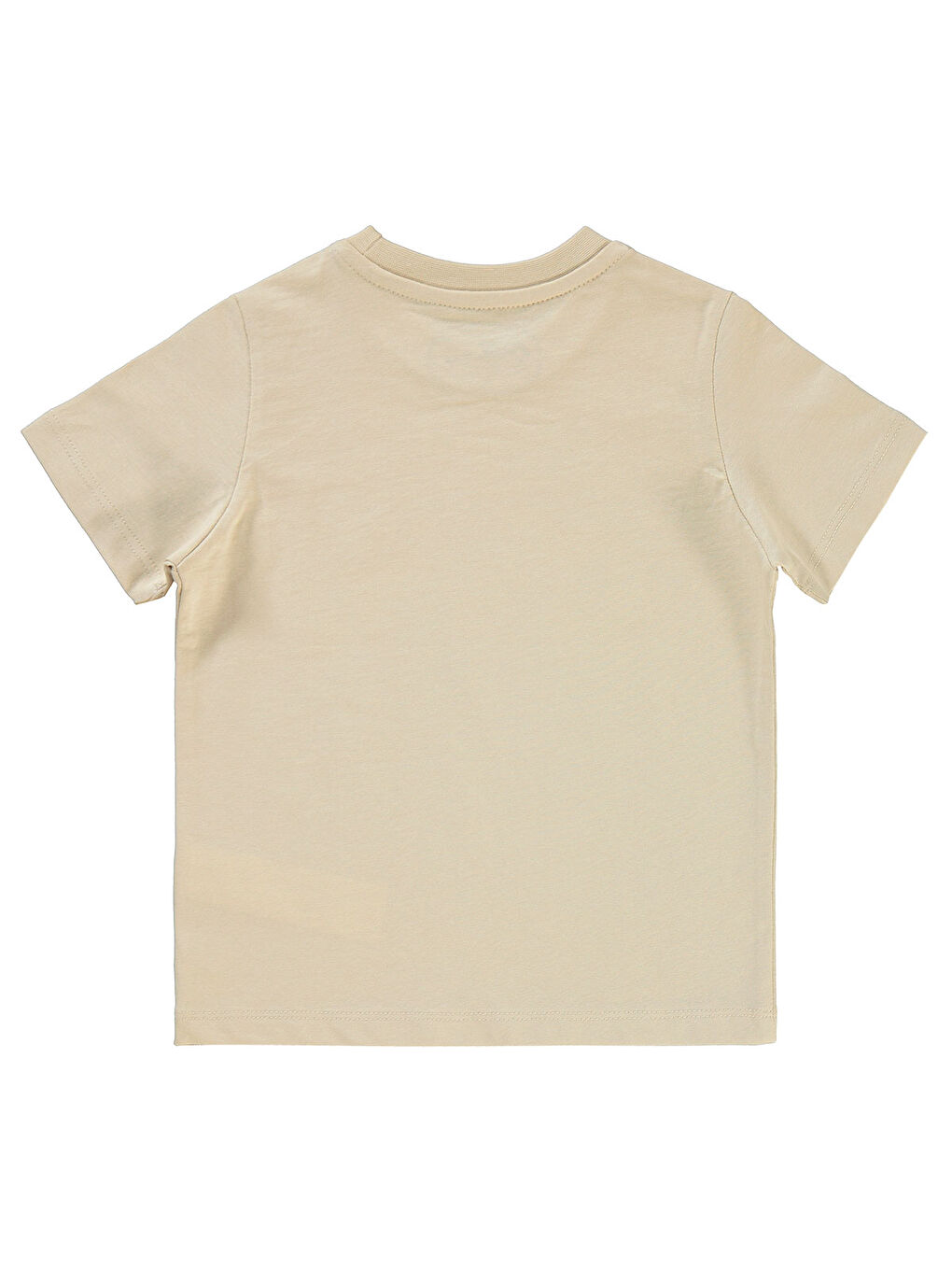 Bej Boys Erkek Çocuk Tişört 2-5 Yaş Taş Rengi-1