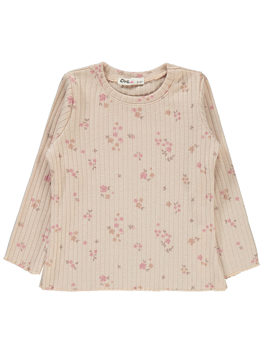 Pembe Girls Kız Çocuk Sweatshirt 2-5 Yaş Pudra