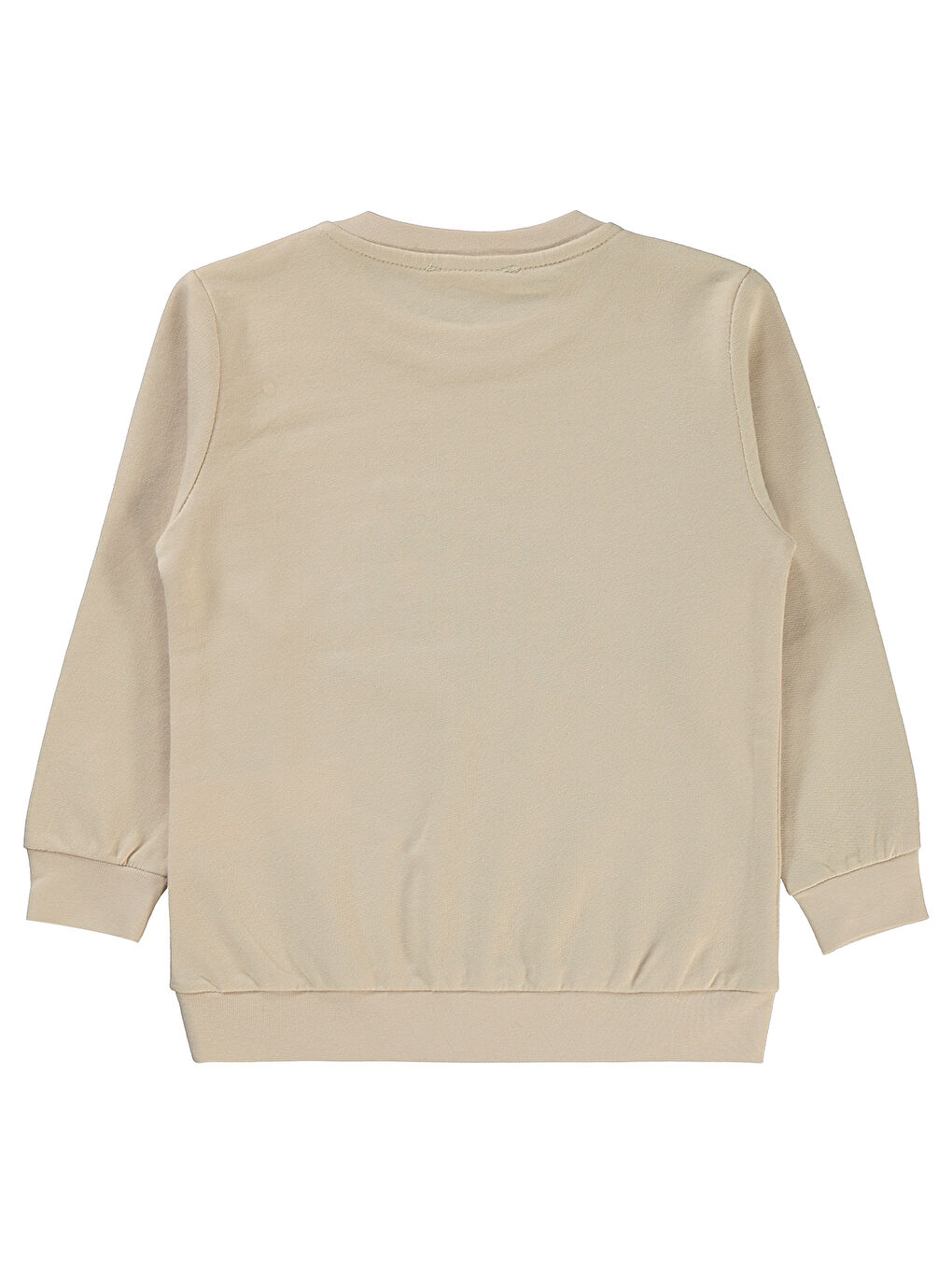 Bej Boys Erkek Çocuk Sweatshirt 2-5 Yaş Taş Rengi-1