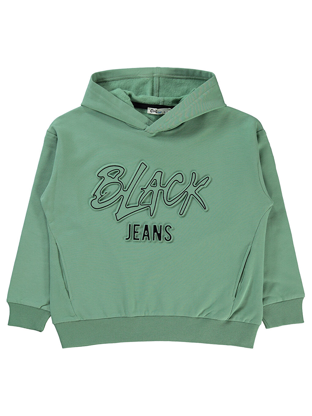 Boys Erkek Çocuk Sweatshirt 10-13 Yaş Çağla Yeşili
