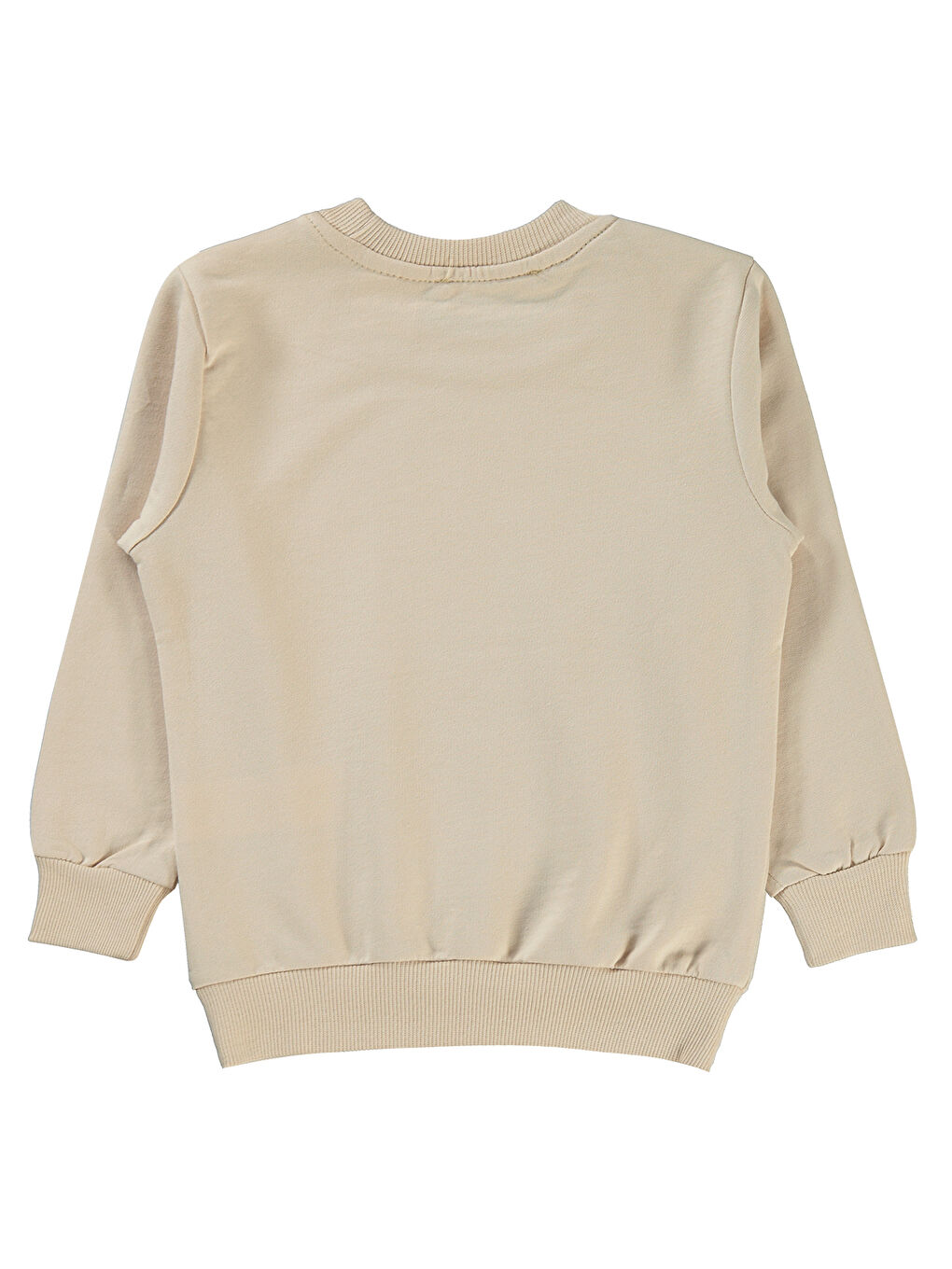 Bej Boys Erkek Çocuk Sweatshirt 2-5 Yaş Taş Rengi-1