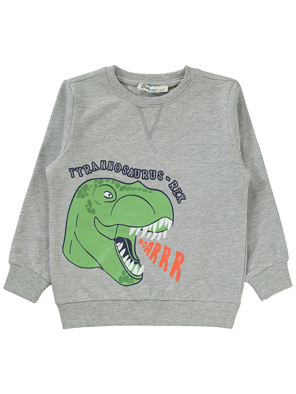 Boys Erkek Çocuk Sweatshirt 2-5 Yaş Grimelanj