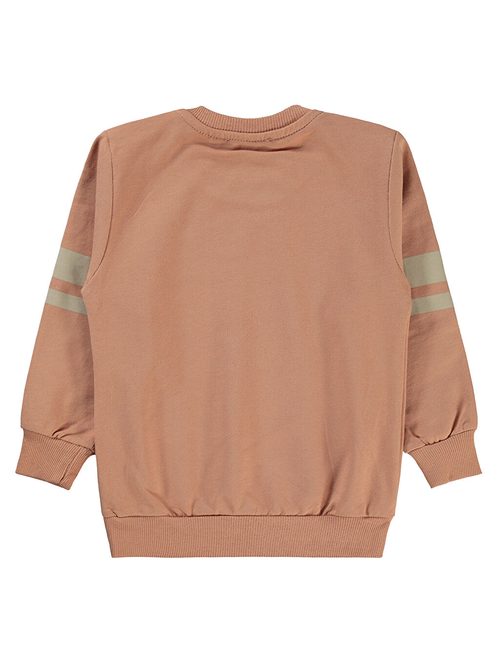 Kahverengi Boys Erkek Çocuk Sweatshirt 2-5 Yaş Kiremit-1