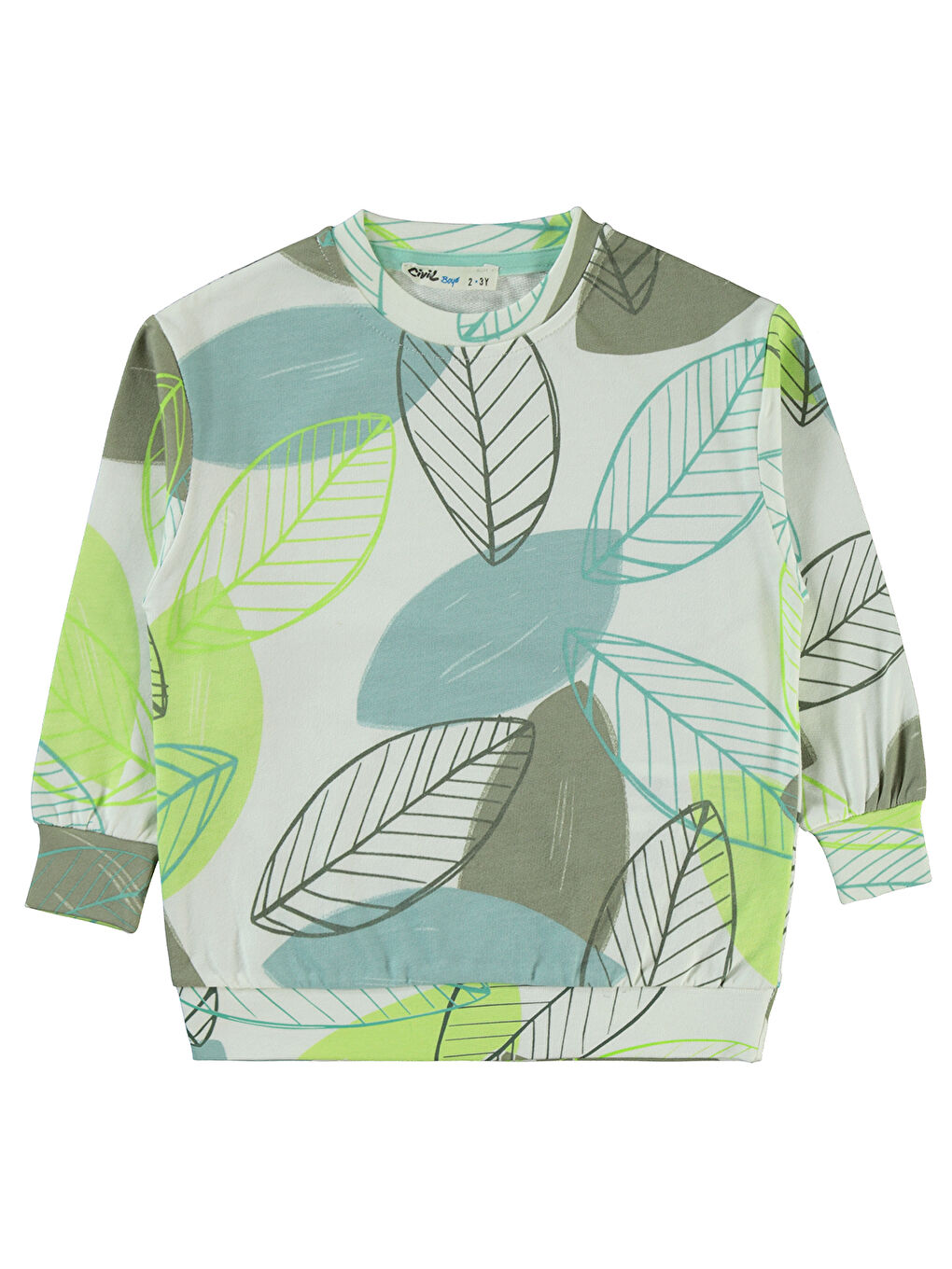 Boys Erkek Çocuk Sweatshirt 2-5 Yaş Açık Çağla Yeşili