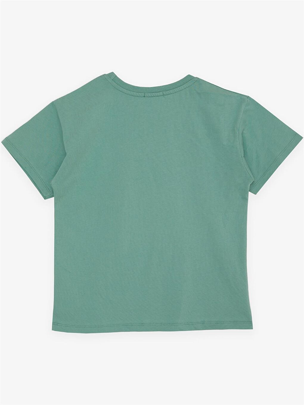 Erkek Çocuk Tişört Yazı Baskılı Mint Yeşili (5-10 Yaş)-2
