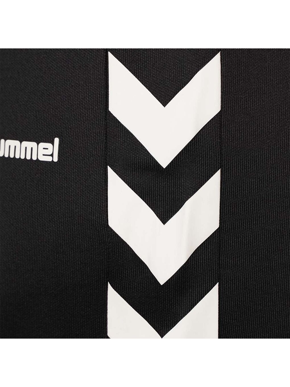 Genesa Kadın Siyah Şort-4