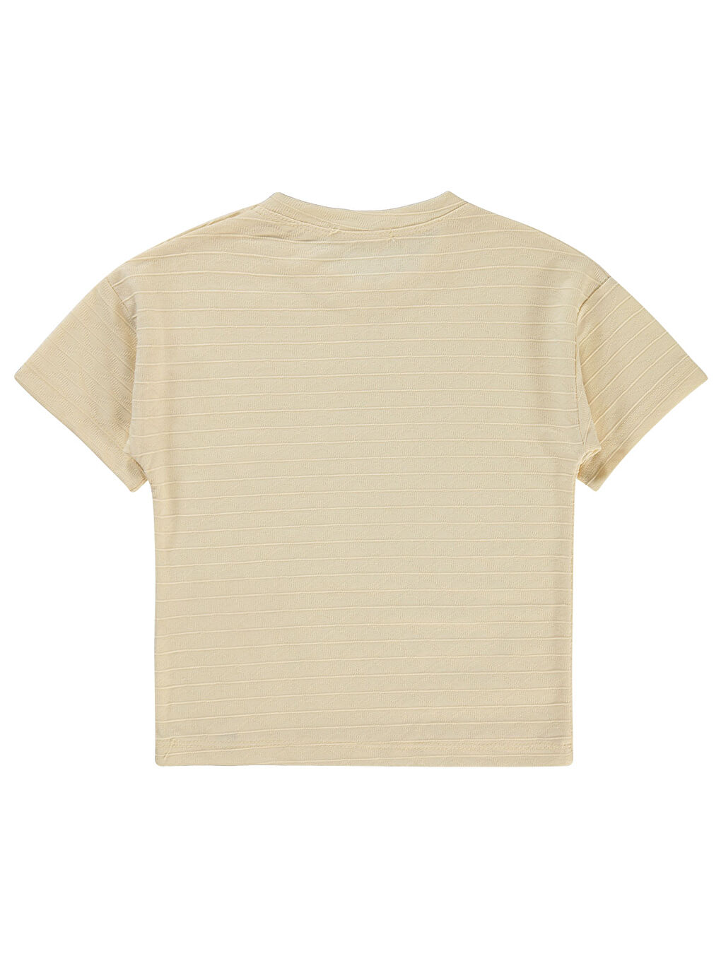 Bej Boys Erkek Çocuk Tişört 2-5 Yaş FilDişi-1