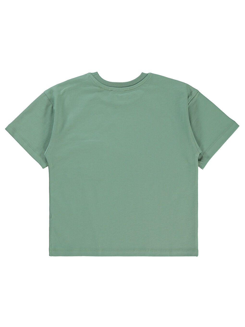 Boys Erkek Çocuk Tişört 6-9 Yaş Haki-1