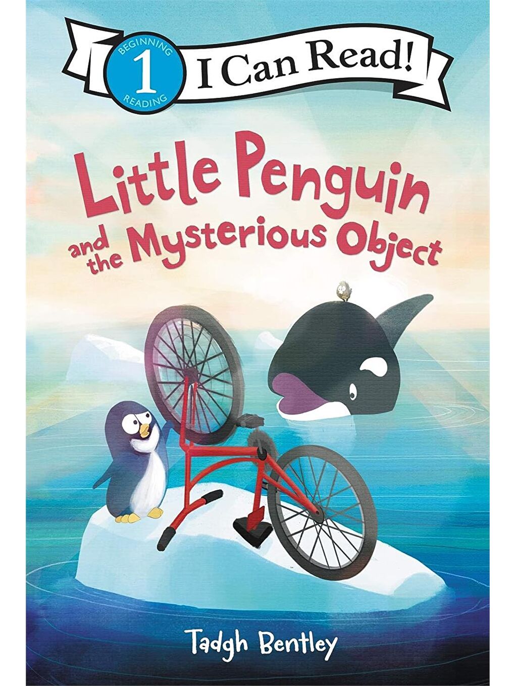Little Penguin and the Mysterious Object