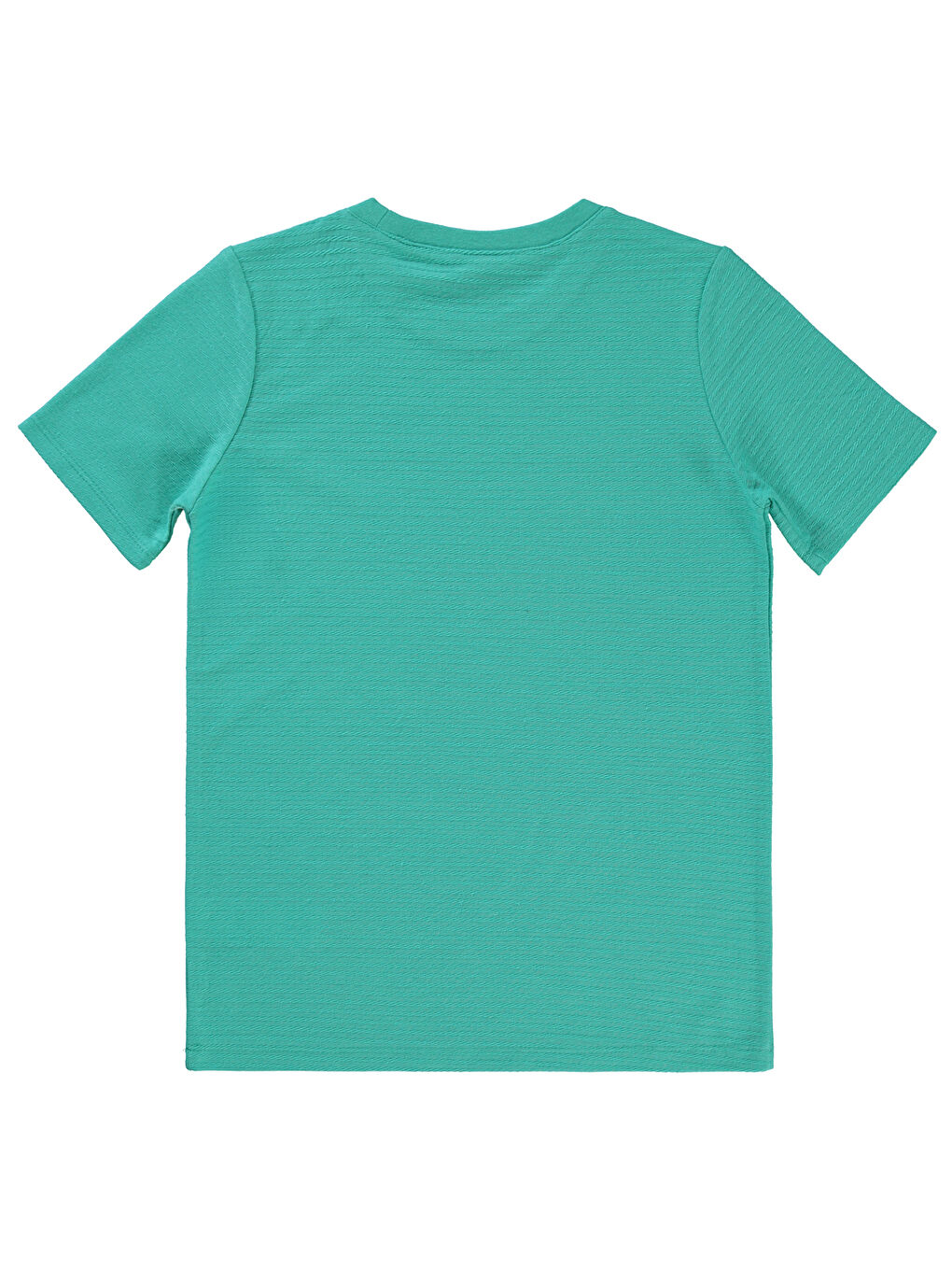 Yeşil Boys Erkek Çocuk Tişört 10-13 Yaş Mint-1