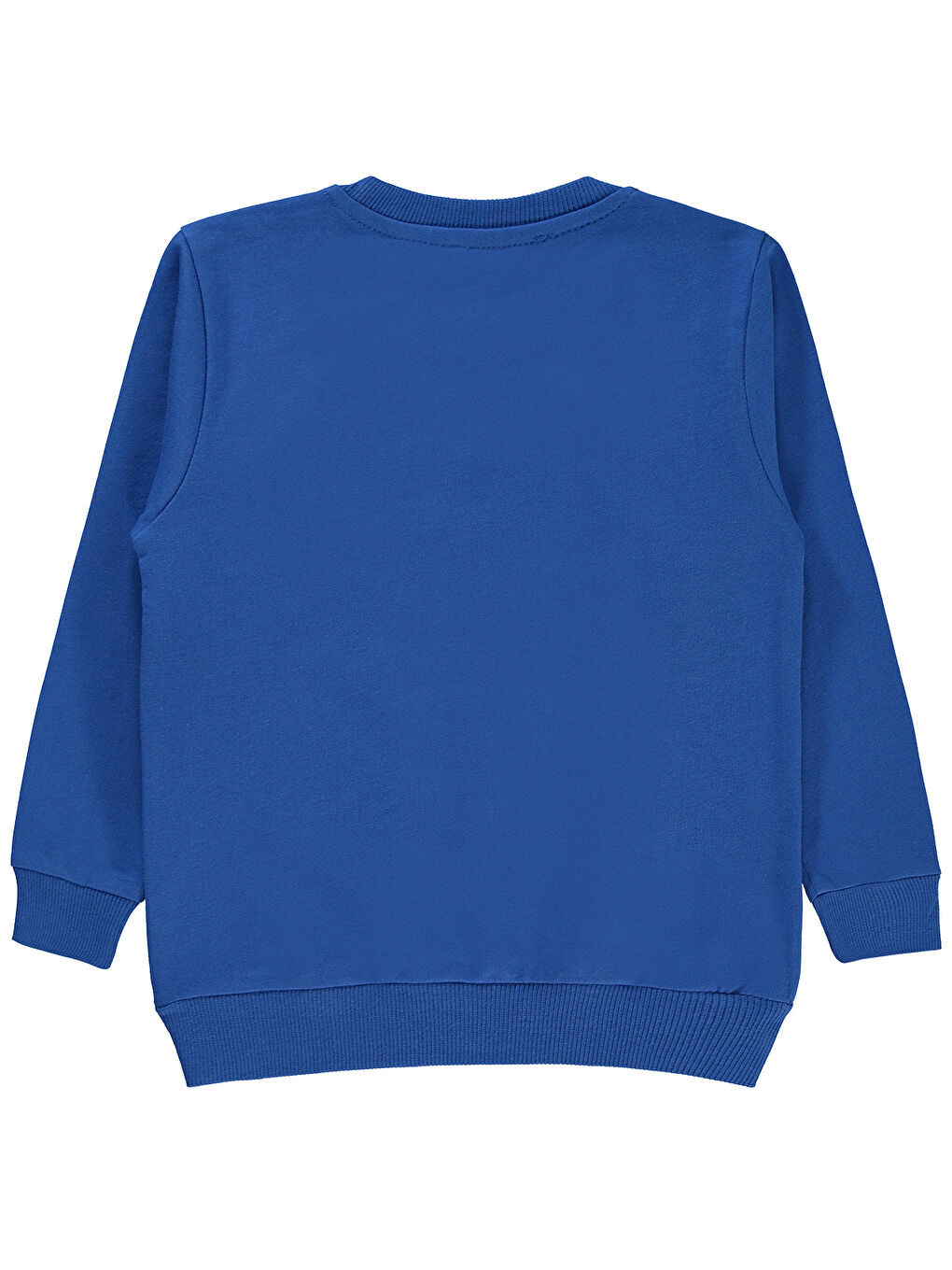 Batman Erkek Çocuk Sweatshirt 2-5 Yaş Saks Mavisi-1