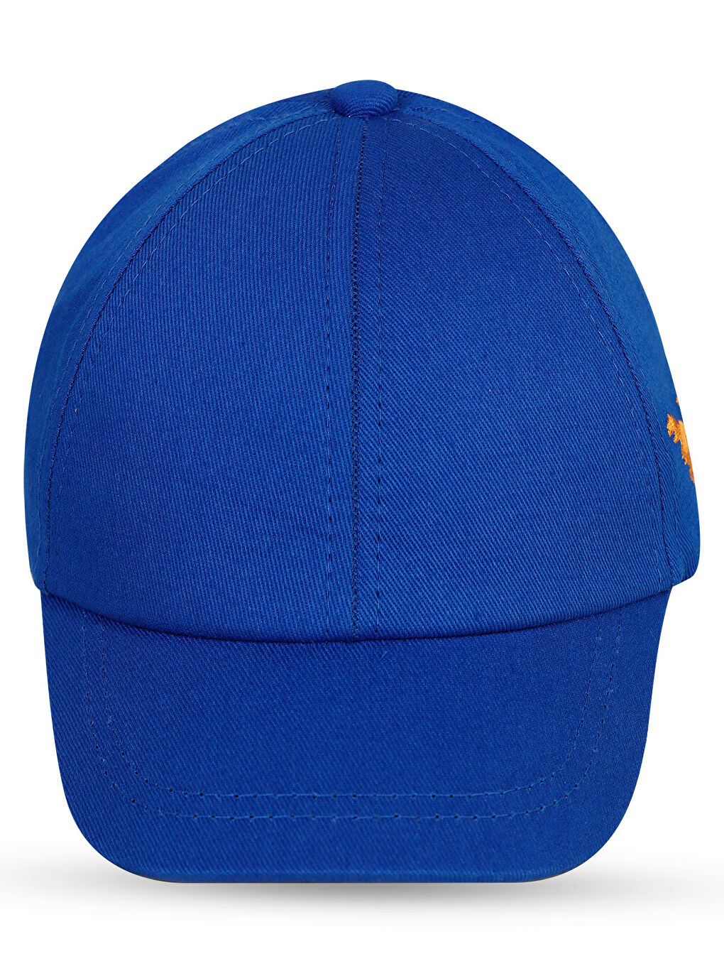 Mavi Boys Erkek Çocuk Şapka 2-5 Yaş Saks-1