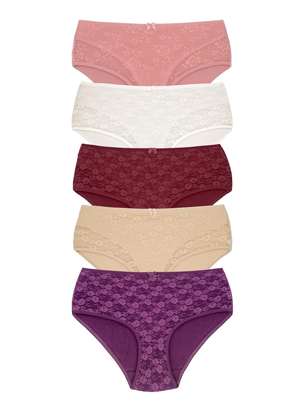 Karışık Pamuklu Önü Astarlı Lez Dantel Yüksek Bel Kadın Külot 5'li