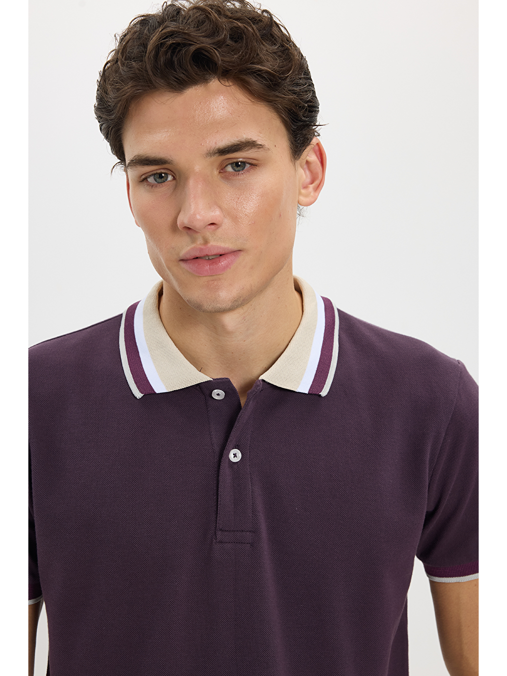 Siyah Erkek Slim Fit Dar Kesim %100 Pamuk Eflatun Polo Yaka Tişört-2