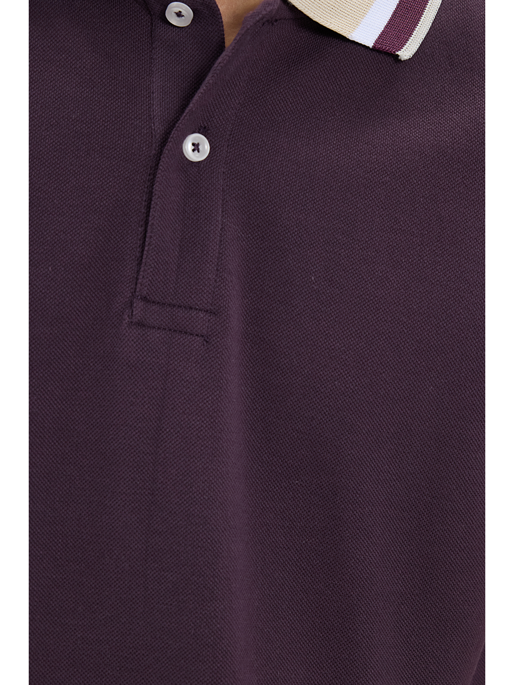 Siyah Erkek Slim Fit Dar Kesim %100 Pamuk Eflatun Polo Yaka Tişört-3