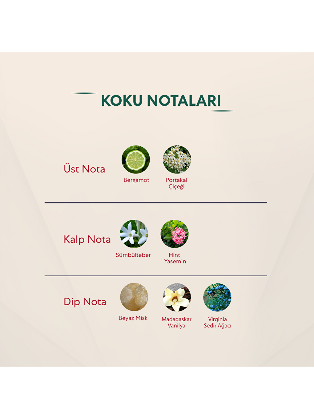 Unisex Parfüm Oryantal 50ml No:193-2