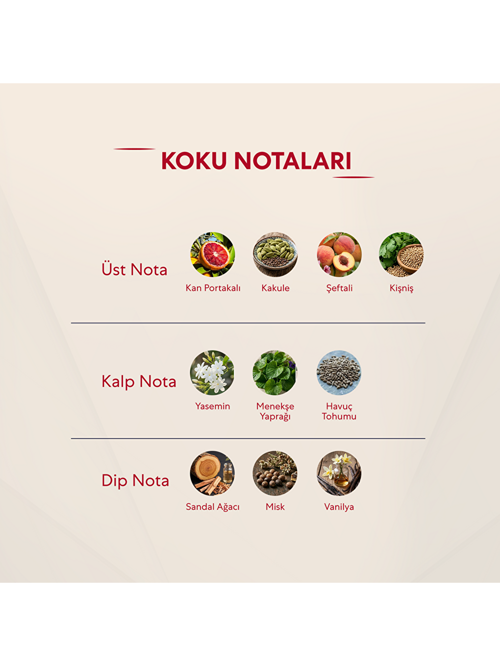 Kadın Parfüm Çiçeksi Edp 50ml No:155-2