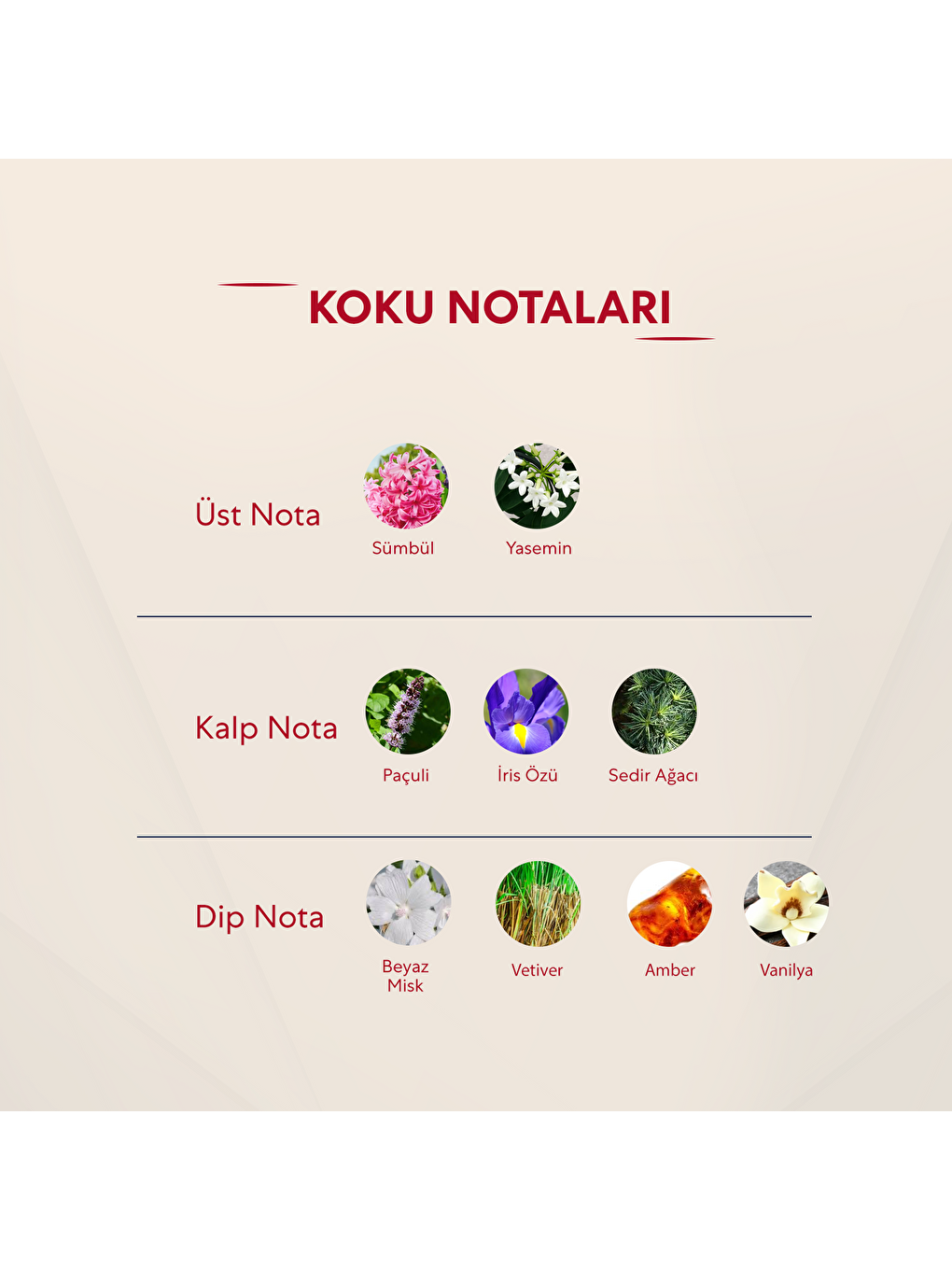 Kadın Parfüm Oryantal Edp 50ml No:134-2