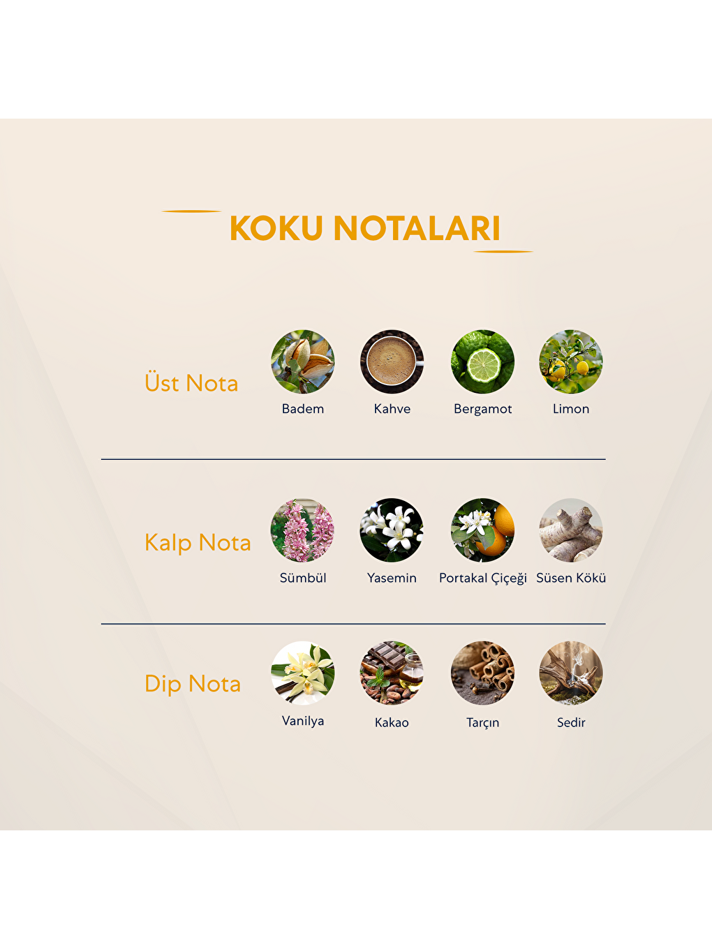 No.324 Kadin 150 Ml Deodorant-2