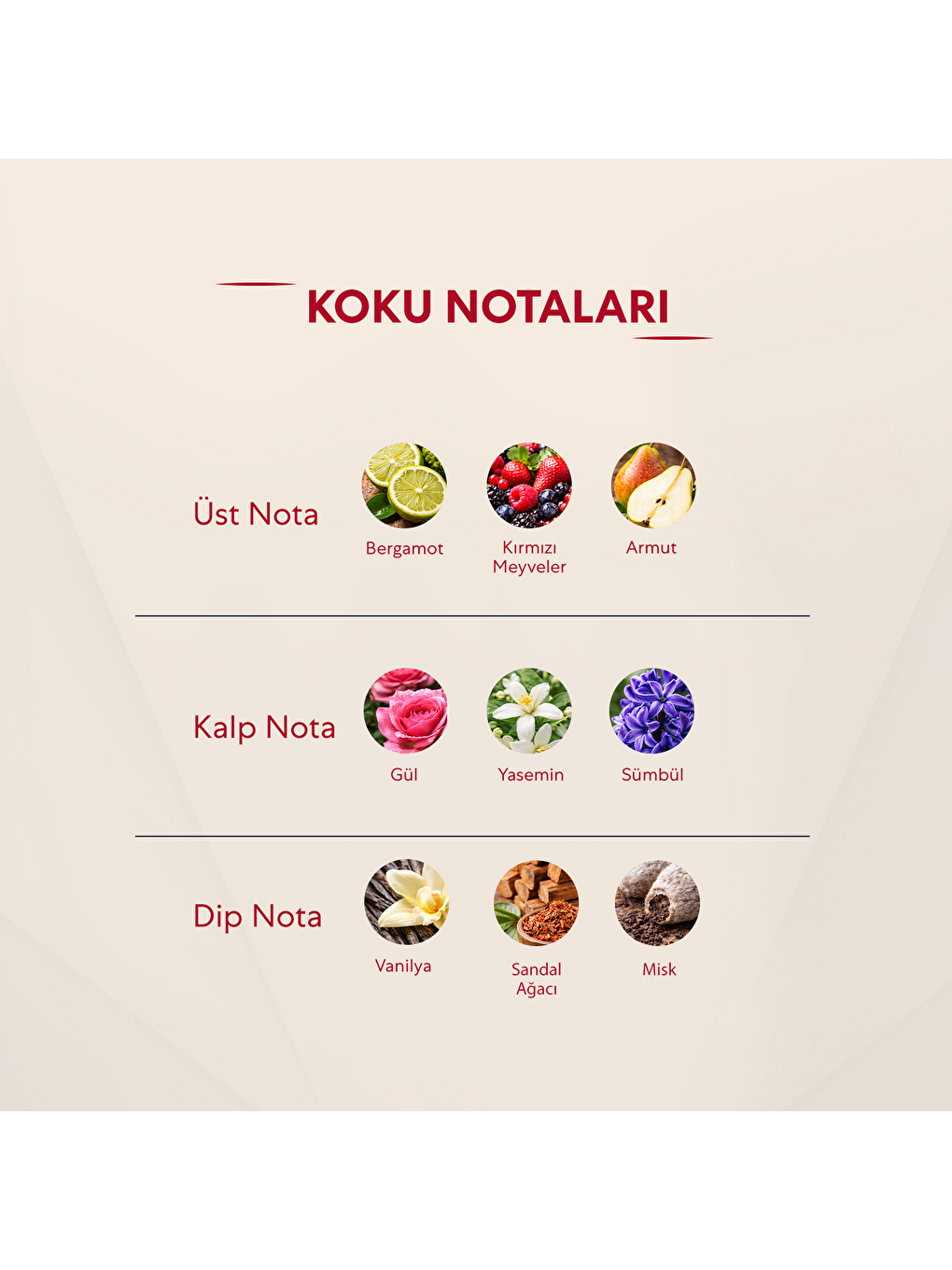 Kadın Parfüm Çiçeksi Edp 50ml No:115-2