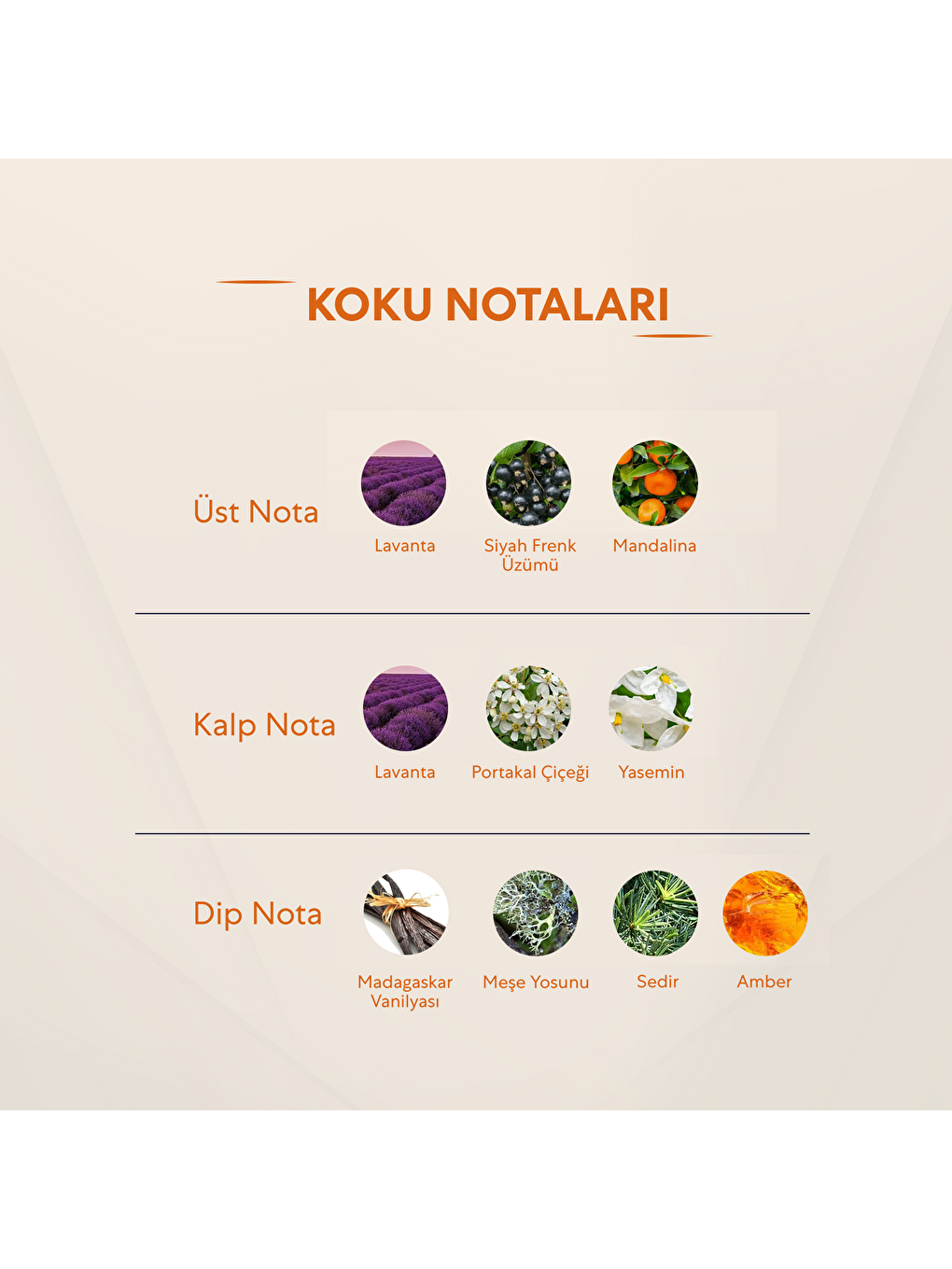 No.228 Kadin 150 Ml Deodorant-2