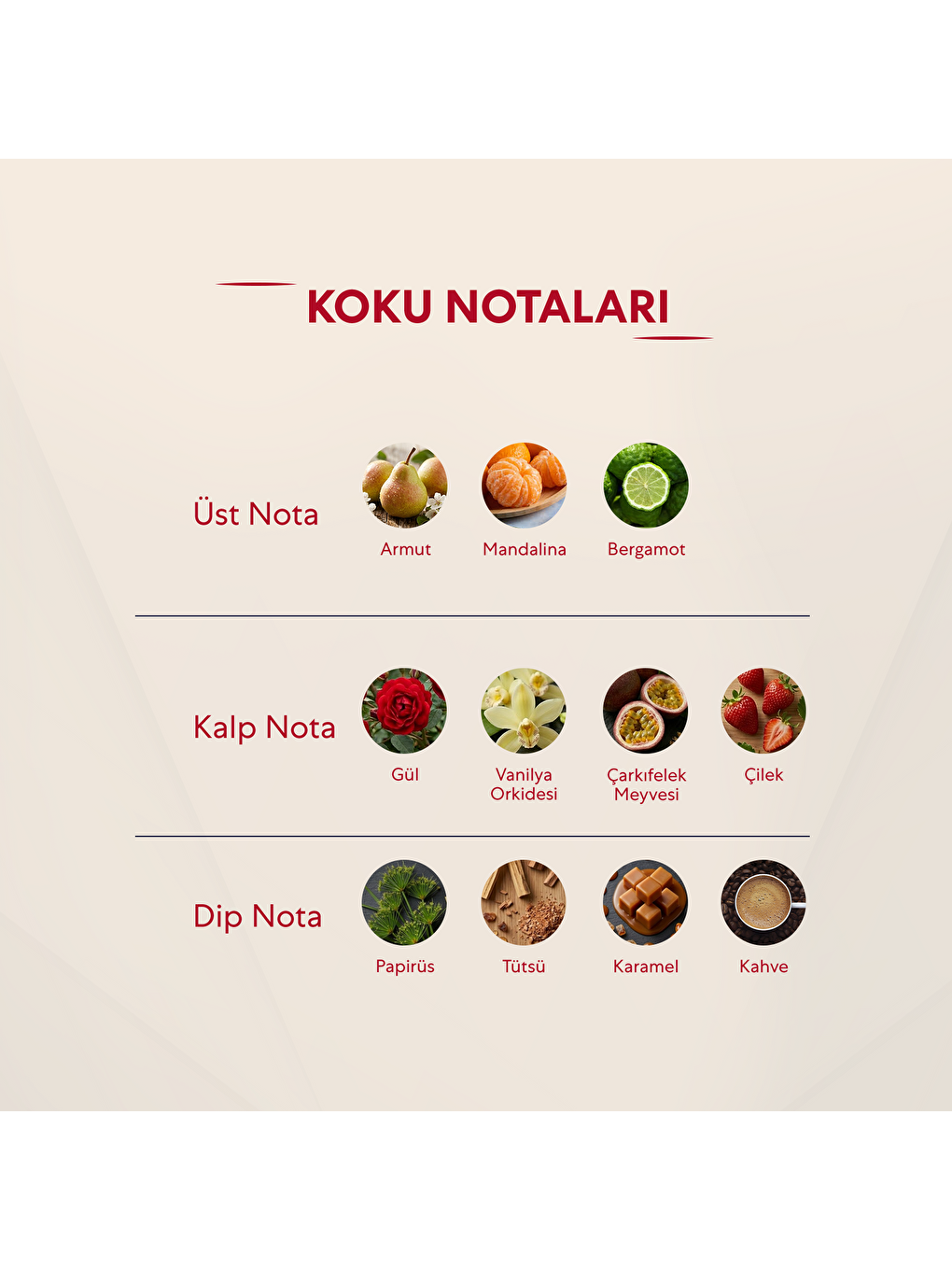 172 Kadin 50 Ml Parfüm Edp Oriental-2