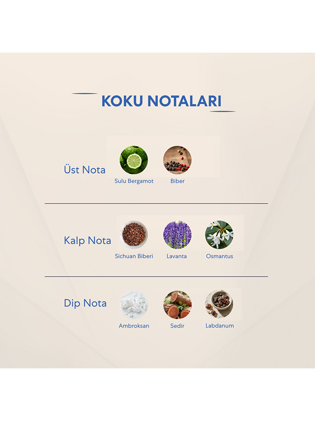 No.567 Erkek 150 Ml Deodorant-2