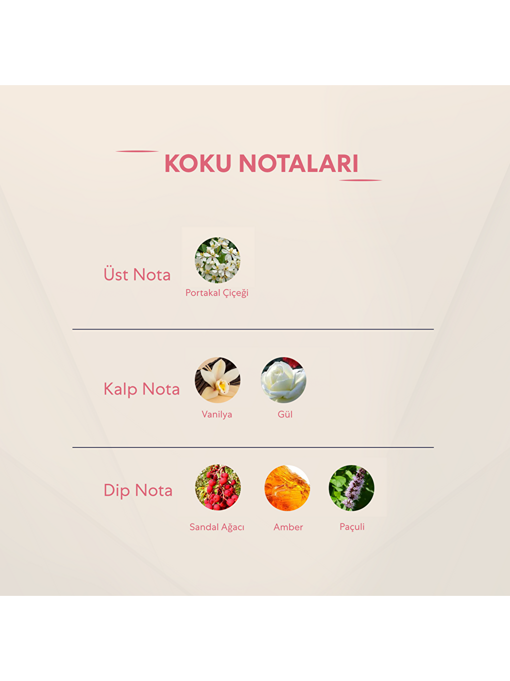 Kadın Deodorant - 150ml No:122-2