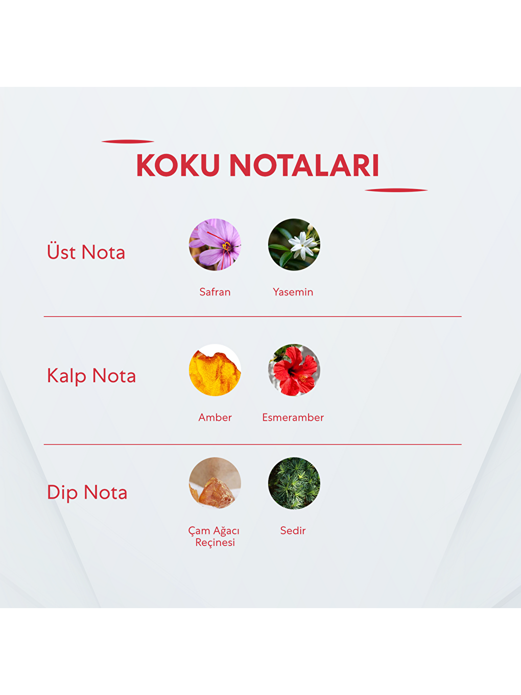 No.199 Unisex 50 Ml Parfüm Edp-1