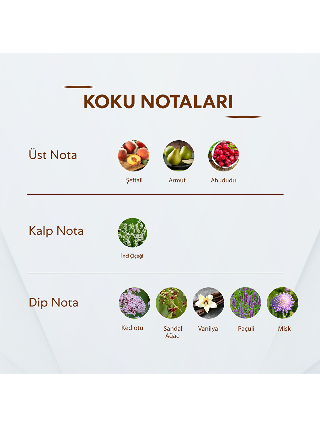 No.451 Unisex 50 Ml Parfüm Edp-1