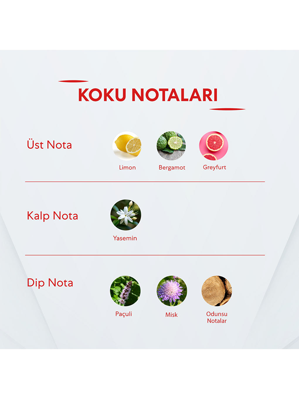 Erkek Parfüm 50ml Edp-1