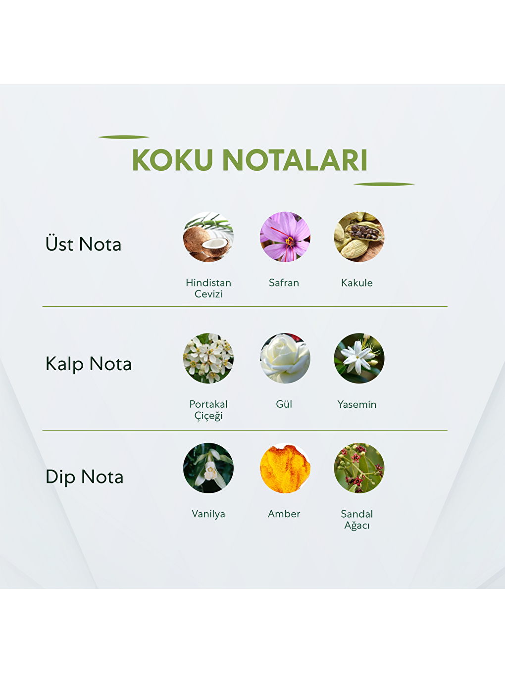 No.669 Erkek 50 Ml Parfüm Edp-1