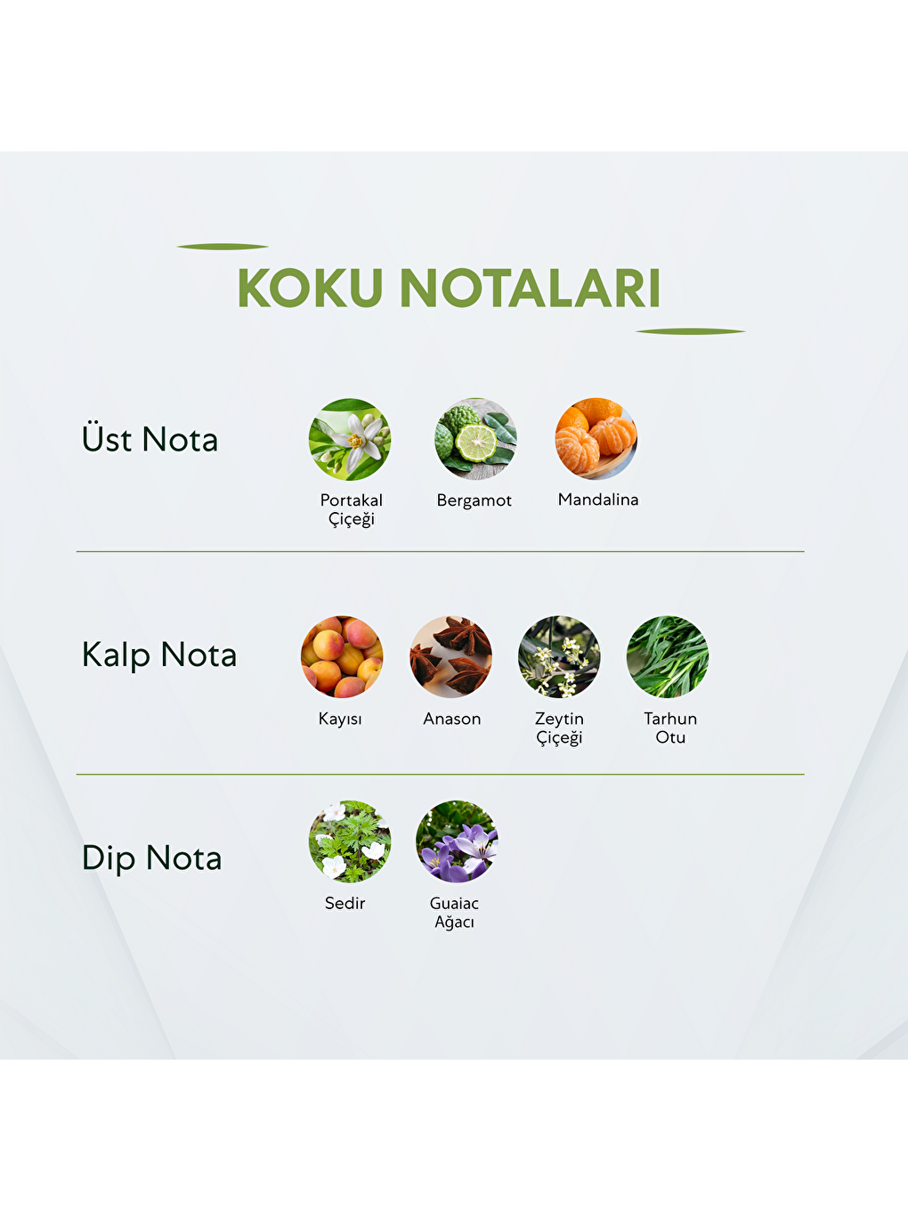 Double In Love Erkek 50ml Parfüm Edp-1