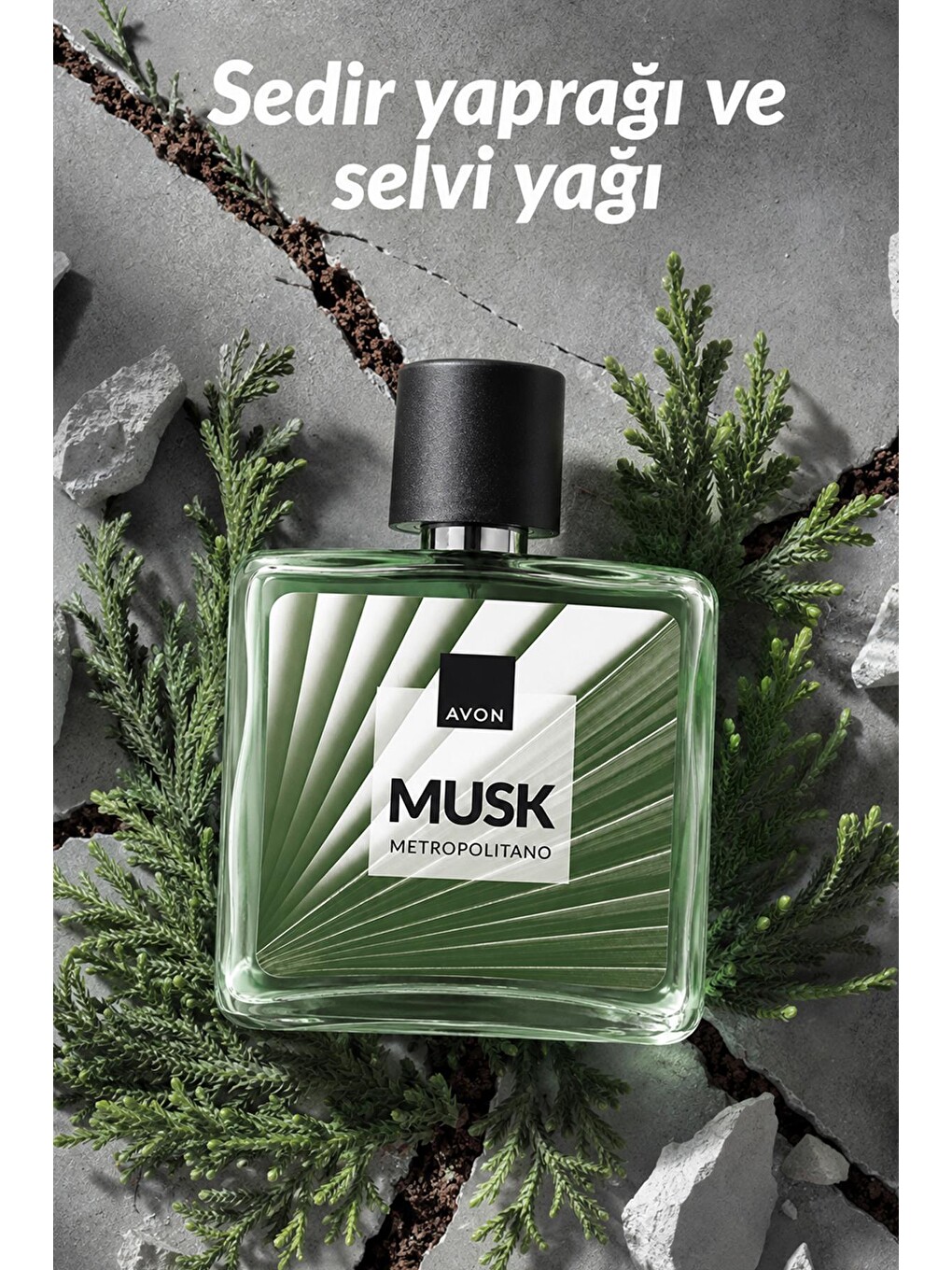 Musk Metropolitano Erkek Parfüm Edt 75 Ml. İkili Set-2