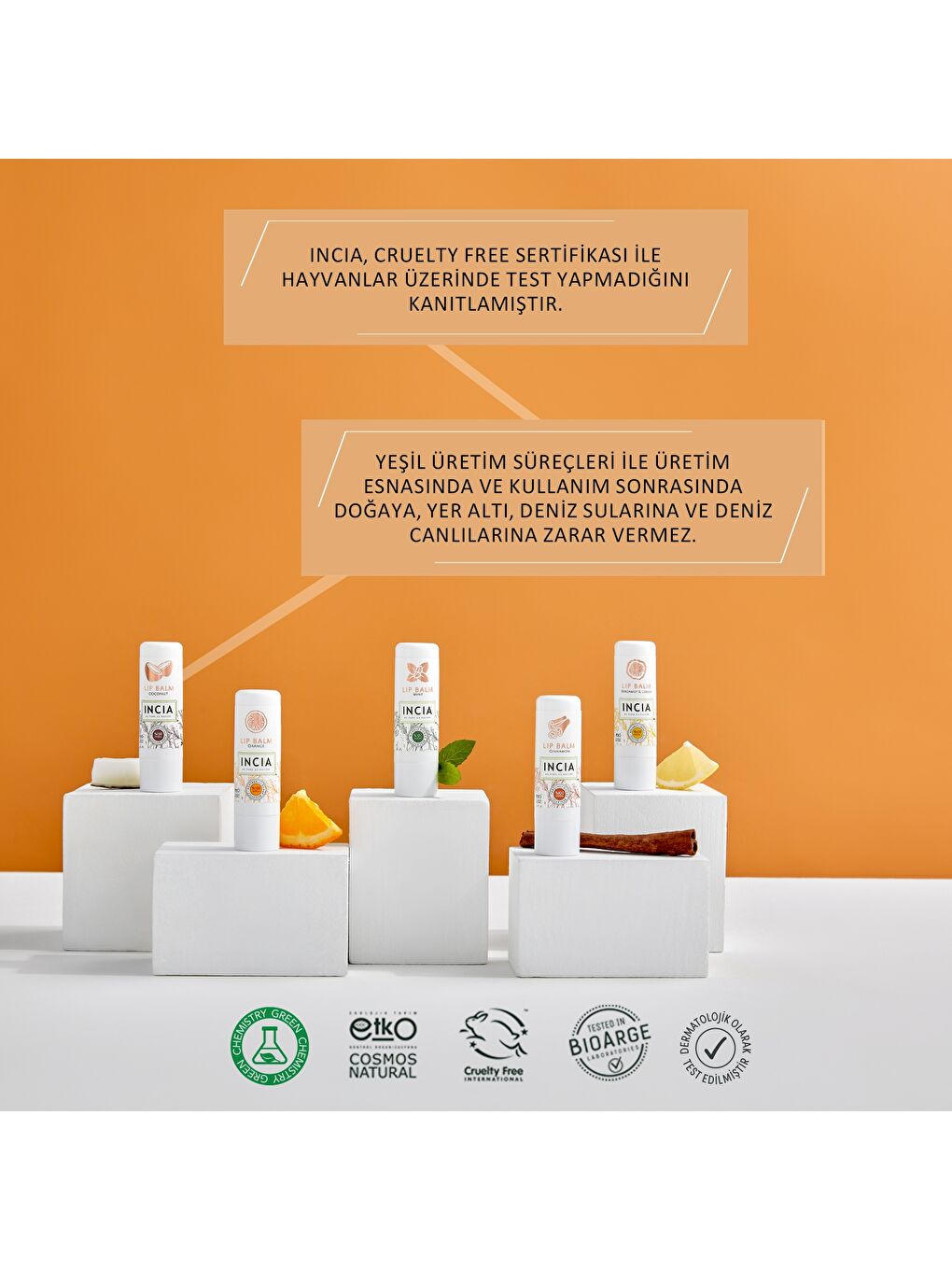 %100 Doğal Dudak Besleyici Hindistan Cevizi Bitkisel Nemlendirici Dudak Bakım Kremi 6 G-5