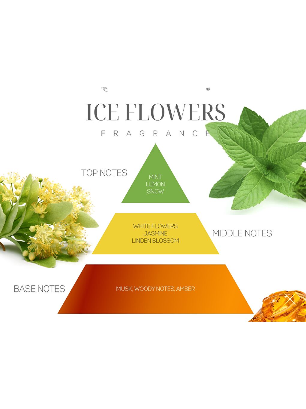 Marin 150 ml Mavi Deniz Yıldızı Taşlı Bambu Çubuklu Ice Flowers Oda Kokusu-1