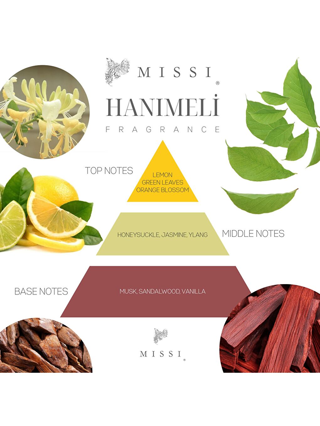 Mavi 4 adet Hanımeli Koku Zarf Seti-2