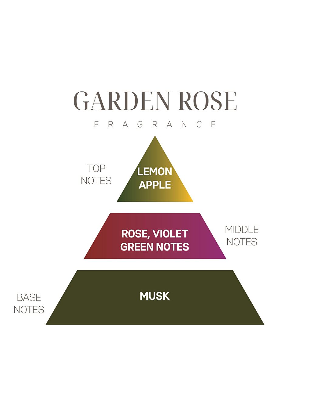 Pembe Koku Günlüğü: Garden Rose-4