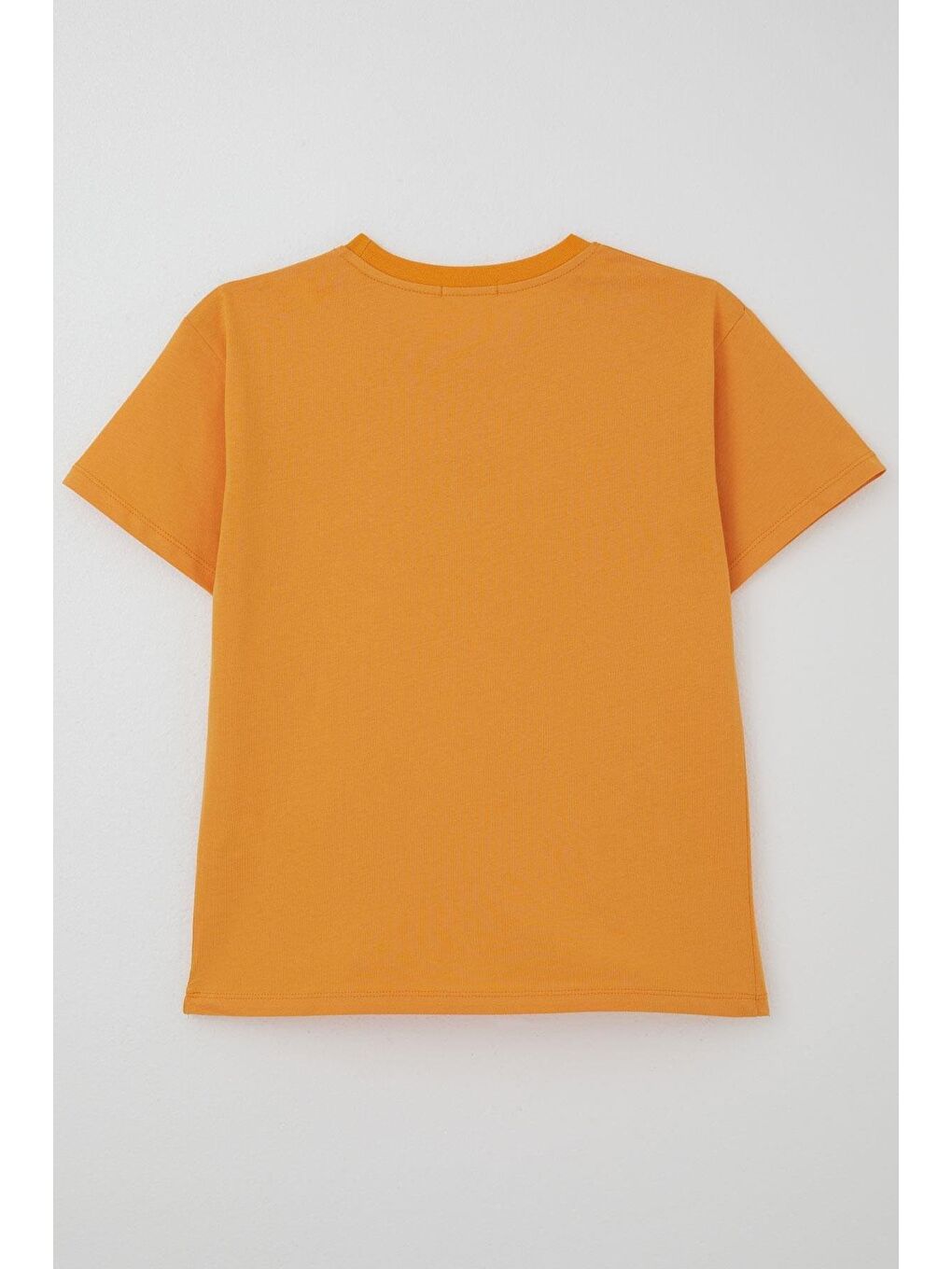 Erkek Çocuk Tişört Yazı Baskılı Hardal Sarı (5-10 Yaş)-4