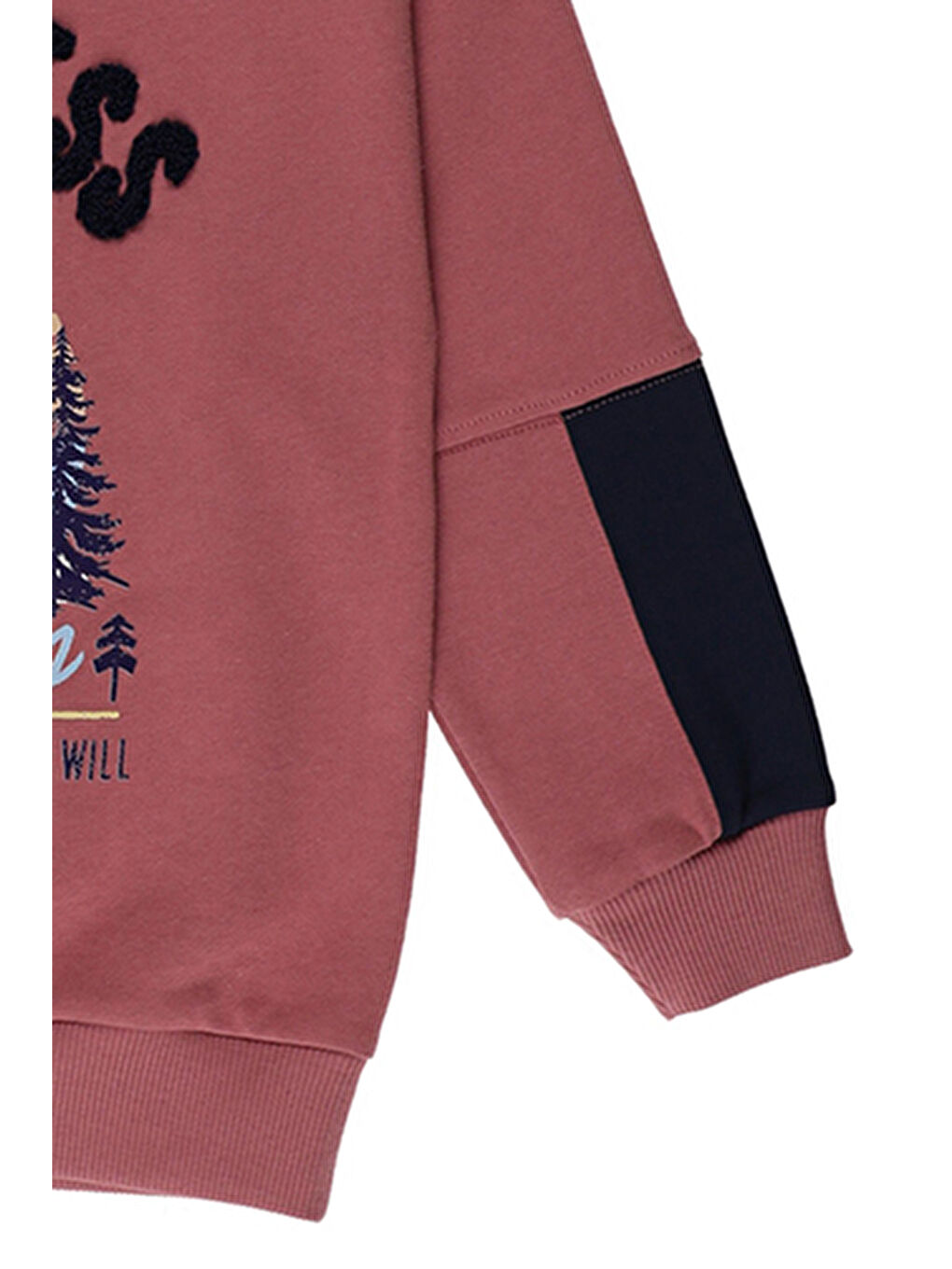 Pembe Erkek Çocuk Baskılı Sweatshirt-9