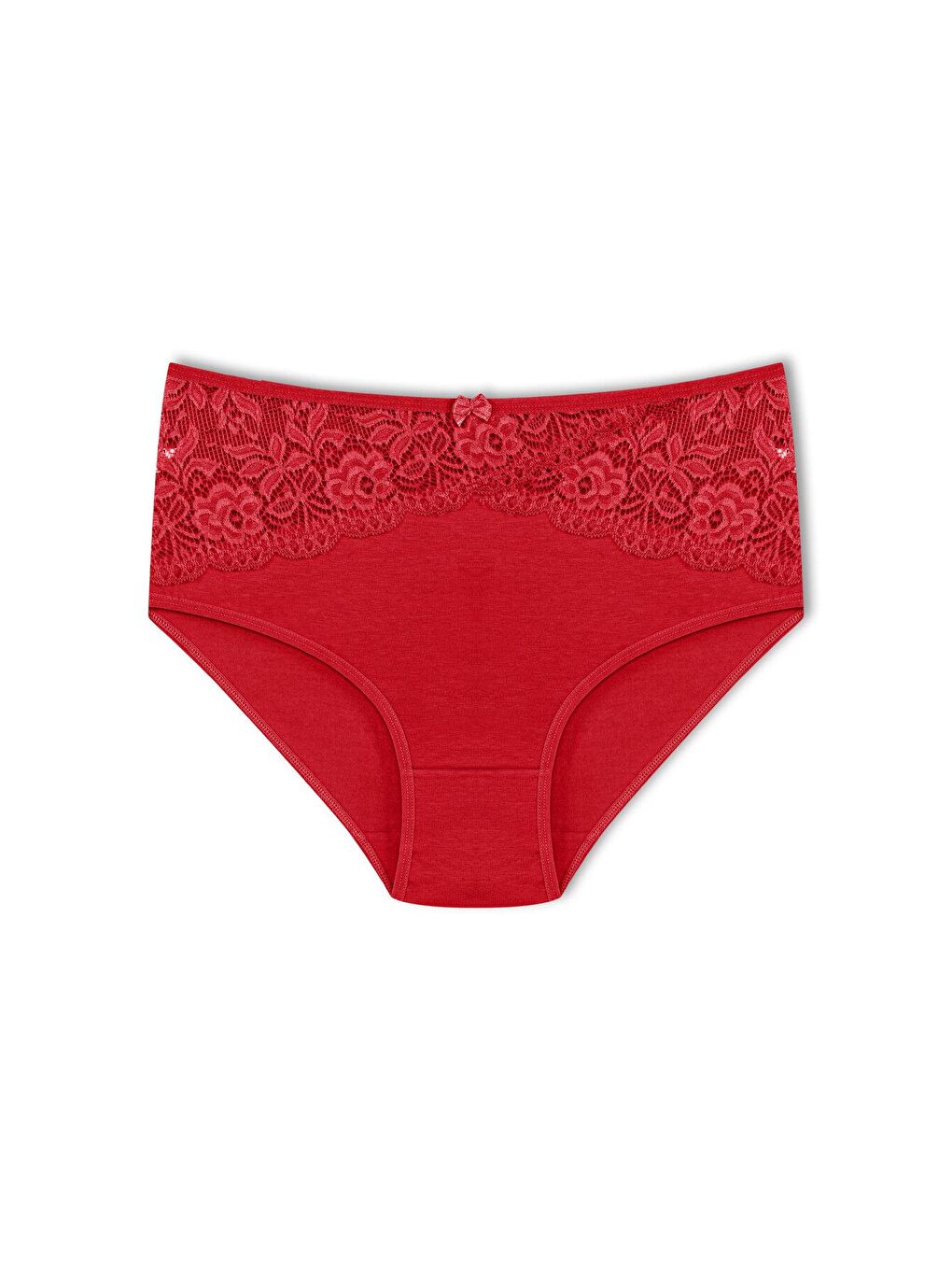 Karışık Pamuklu Önü Ters V Dantel Yüksek Bel Büyük Beden Kadın Külot 8'li-2